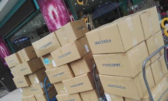 小家電、化工日用品與寵物食品進(jìn)口清關(guān)渠道的穩(wěn)定性探析